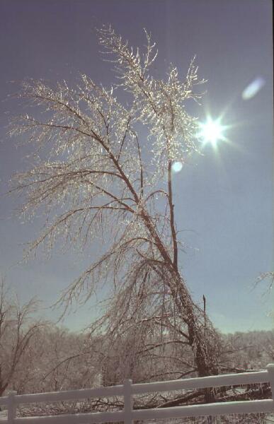 Copyright � 2002 by Steven L. Van Dyke