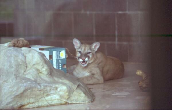 Copyright � 2001 by Steven L. Van Dyke