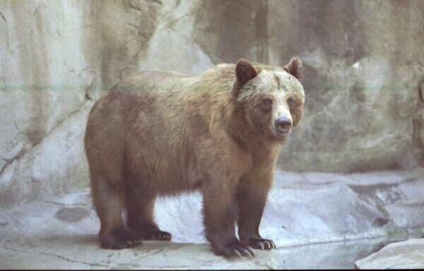 Copyright � 2001 by Steven L. Van Dyke