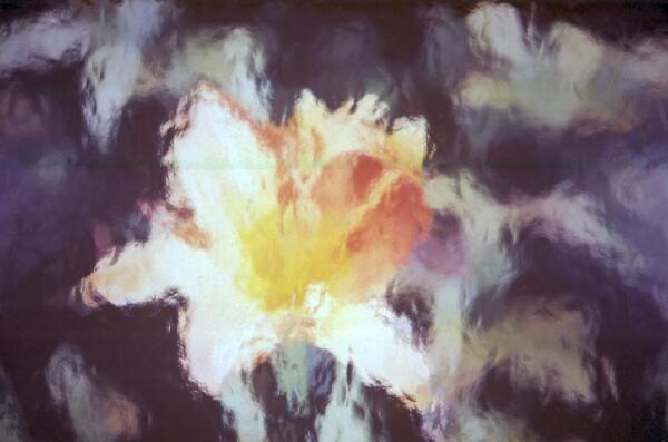 Copyright � 2001 by Steven L. Van Dyke