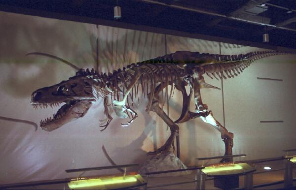 Copyright � 2001 by Steven L. Van Dyke