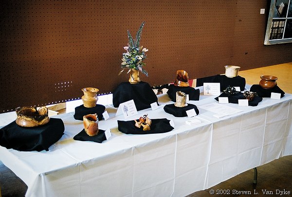 Copyright � 2002 by Steven L. Van Dyke