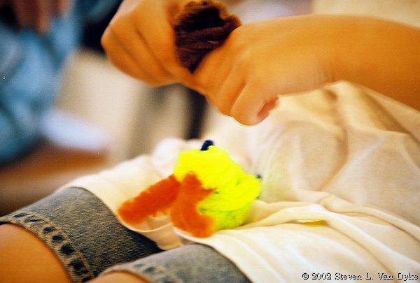 Copyright � 2002 by Steven L. Van Dyke