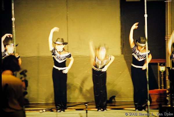 Copyright � 2002 by Steven L. Van Dyke