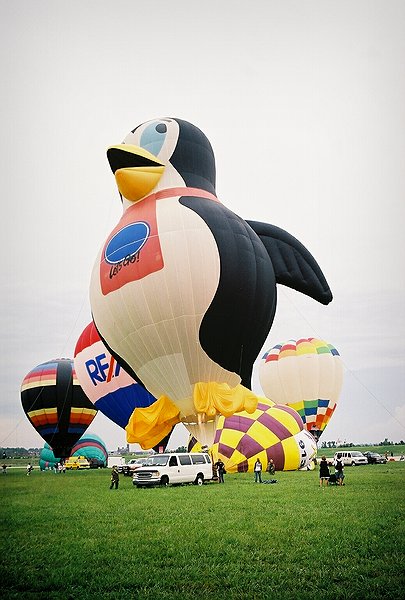 Copyright � 2002 by Steven L. Van Dyke