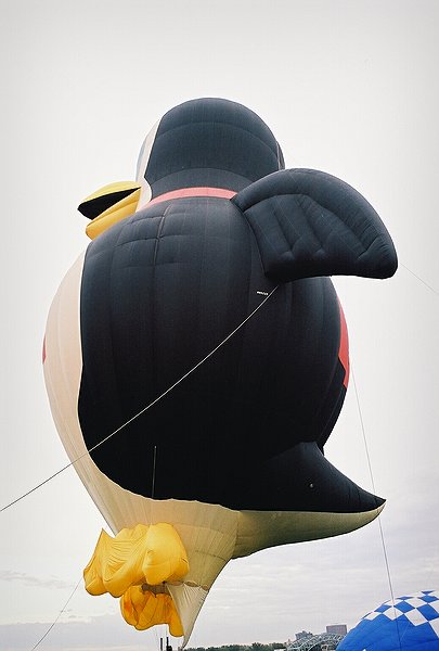 Copyright � 2002 by Steven L. Van Dyke