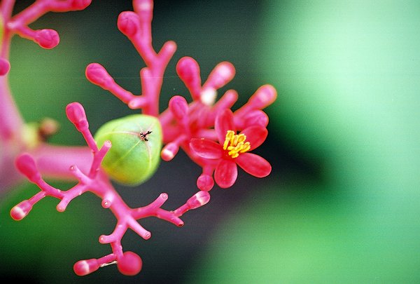 Copyright � 2002 by Steven L. Van Dyke