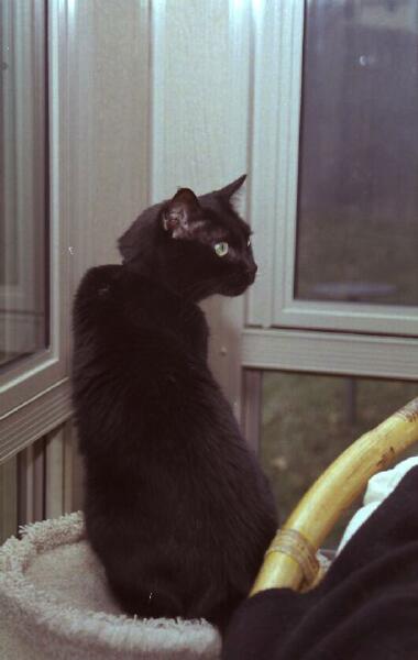 Copyright � 2002 by Steven L. Van Dyke