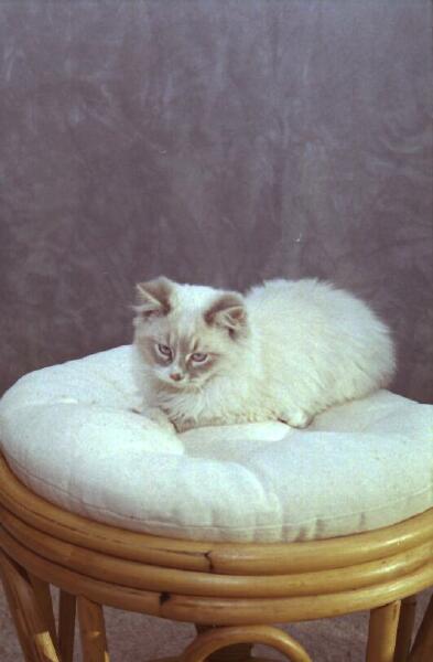 Copyright � 2002 by Steven L. Van Dyke