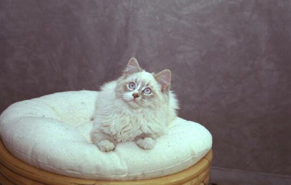 Copyright � 2002 by Steven L. Van Dyke