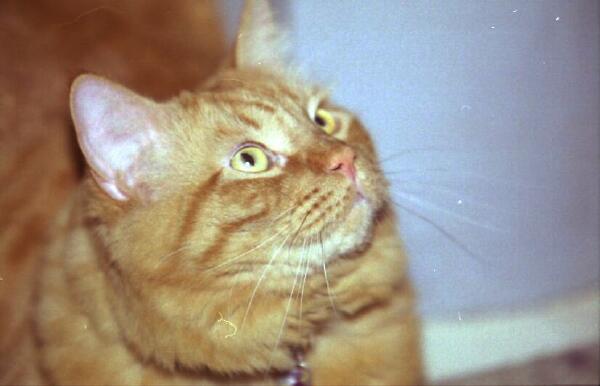 Copyright � 2002 by Steven L. Van Dyke