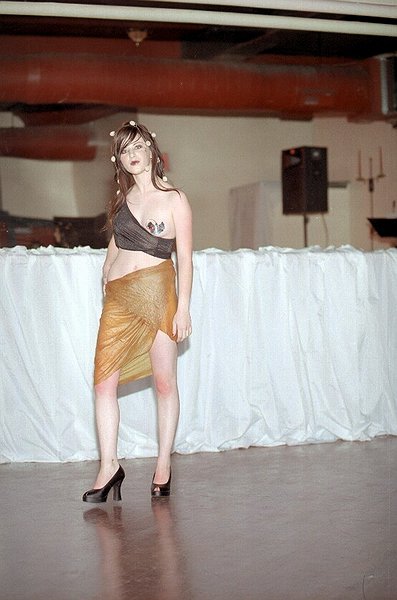 Copyright � 2002 by Steven L. Van Dyke