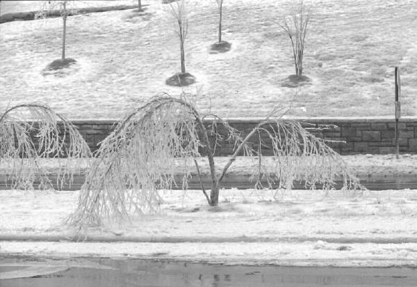 Copyright � 2002 by Steven L. Van Dyke