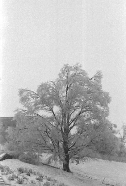 Copyright � 2002 by Steven L. Van Dyke