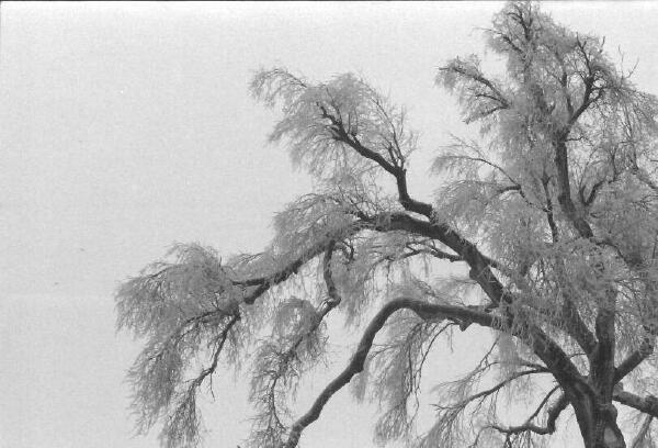 Copyright � 2002 by Steven L. Van Dyke