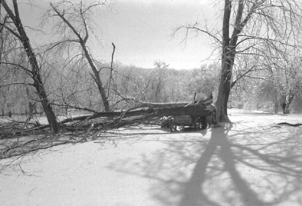 Copyright � 2002 by Steven L. Van Dyke