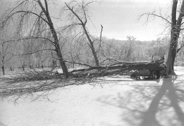 Copyright � 2002 by Steven L. Van Dyke