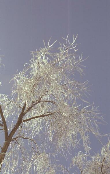 Copyright � 2002 by Steven L. Van Dyke