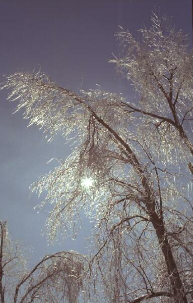 Copyright � 2002 by Steven L. Van Dyke