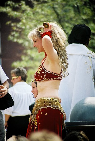 Copyright � 2002 by Steven L. Van Dyke