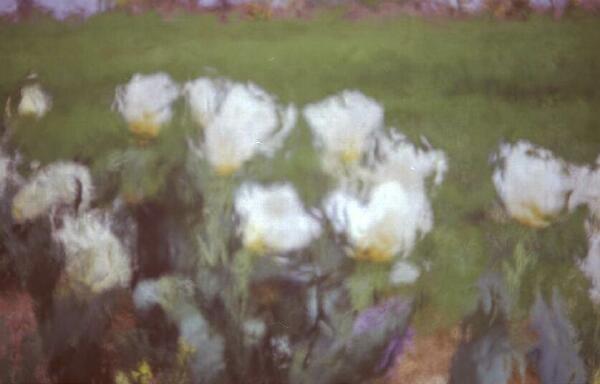 Copyright � 2002 by Steven L. Van Dyke