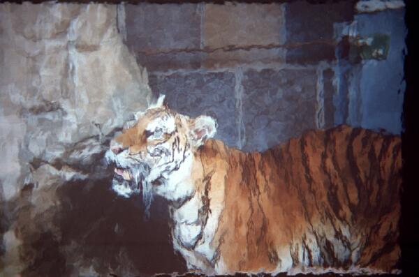 Copyright � 2002 by Steven L. Van Dyke