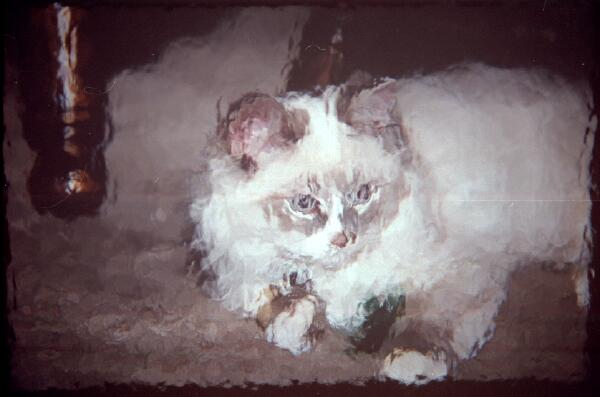 Copyright � 2002 by Steven L. Van Dyke