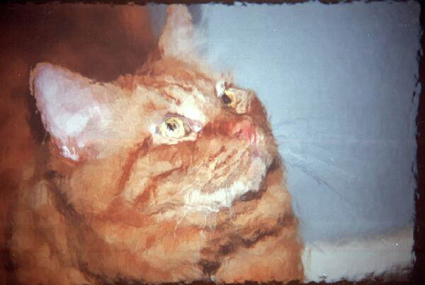 Copyright � 2002 by Steven L. Van Dyke