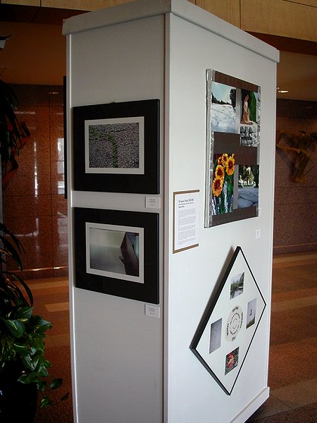 Copyright � 2003 by Steven L. Van Dyke