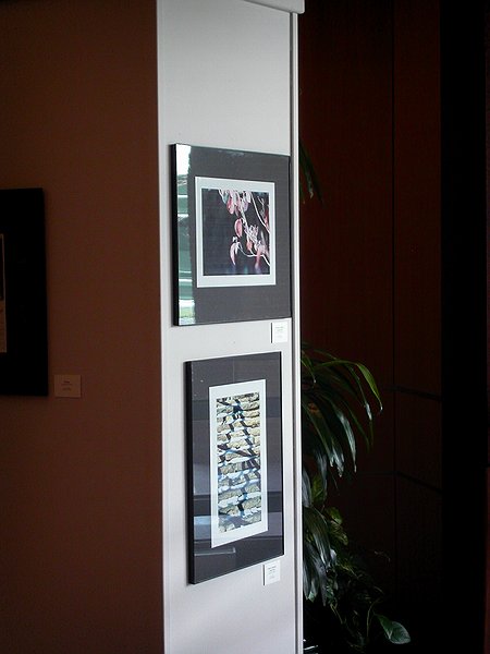 Copyright � 2003 by Steven L. Van Dyke